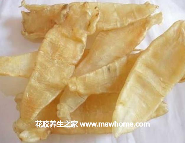 白花膠的功效與作用真假