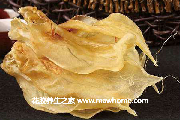 鳘魚膠的功效與作用