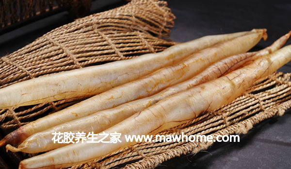 鰻魚膠