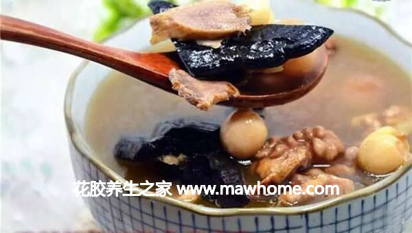 靈芝花膠燉湯