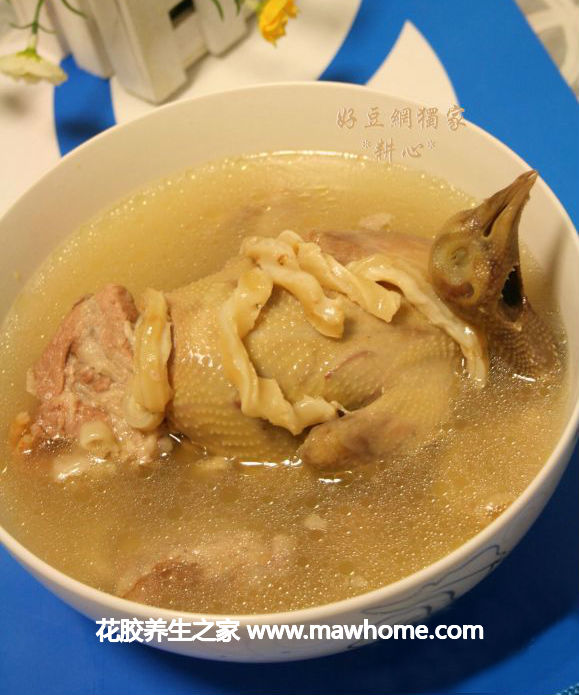 花膠鴿子湯的做法