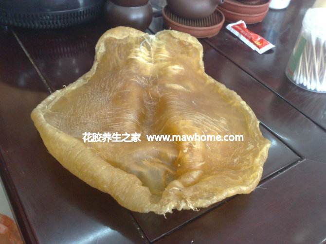 什么魚膠比較好_什么魚膠最好