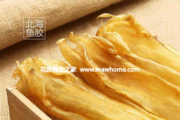 北海魚膠的功效