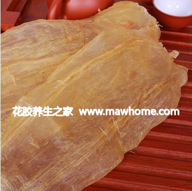 北海魚膠的價格