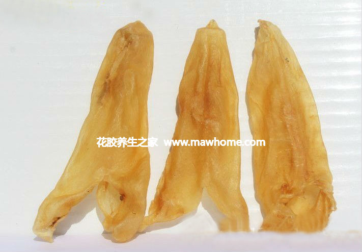 北海魚膠的價格