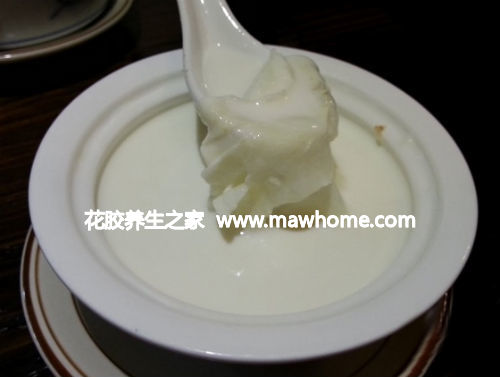 花膠燉鮮奶