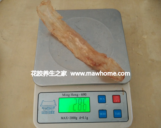 鱈魚膠