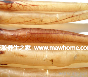 鰻魚膠