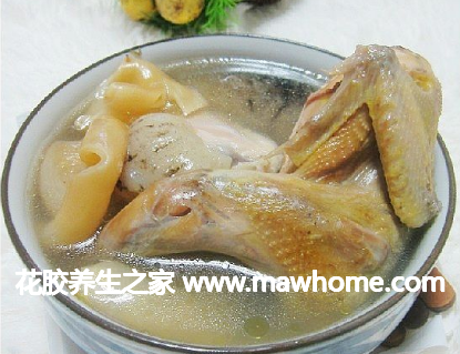 花膠海參燉鷓鴣