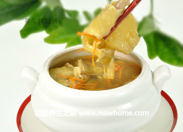 猴頭菇花膠北蟲草茨實湯
