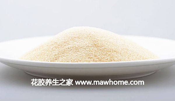 魚膠粉是什么，有什么功效與作用