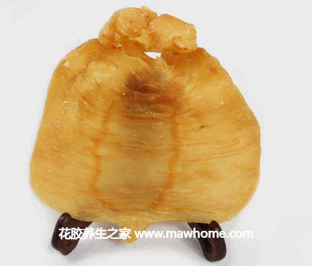 赤嘴魚膠價格,做法,功效及圖片大全
