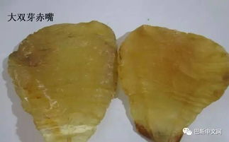 黃花膠和北海魚膠的區別、黃花膠和北海