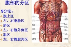 腹部九點法及師名，與腹痛對應的圖器圖。