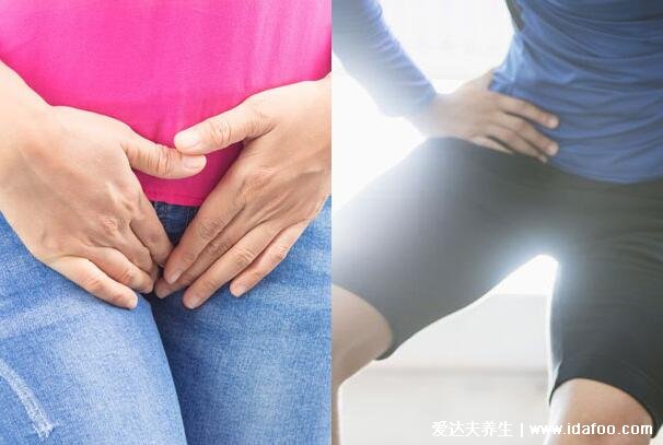 腎結石會引起身體哪個部位疼痛圖片，注意腎疼和腰疼的分別圖解