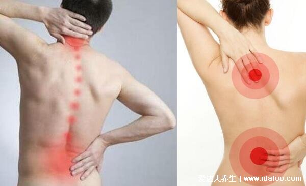 背部筋膜炎疼痛位置圖，身體背部各部位疼痛對比圖