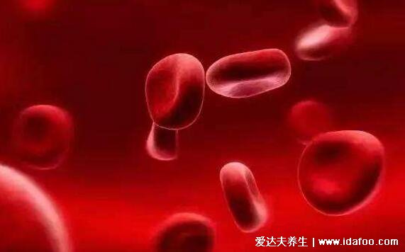 血毒血熱引起皮膚病圖片，引發各種疹子/毛囊炎/紅斑狼瘡/牛皮癬
