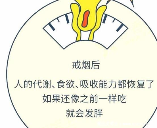 戒煙1-30天身體變化，脾氣暴躁但嗅覺味覺更靈敏(附臉的變化)