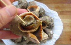 孕婦可以吃海螺嗎有什么好處(哺乳期吃了海螺需要忌奶嗎)