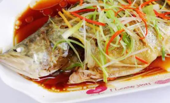桂魚是什么魚？孕婦可以吃桂魚嗎