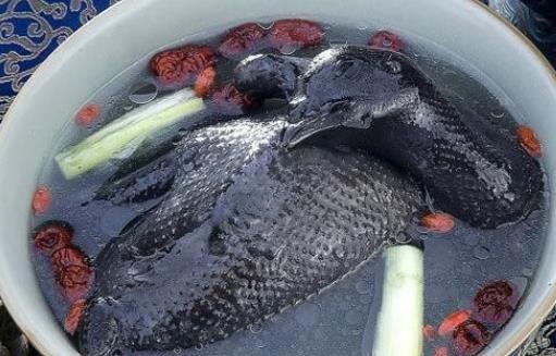 烏雞可以補腎嗎？男性喝烏雞湯有哪些好處