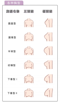 女人的乳房是什么樣的圖片？女性的胸部有哪些形狀？[多圖]
