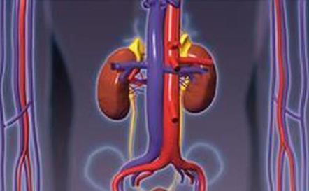 腎病綜合癥可以生孩子嗎？腎病綜合癥的并發癥