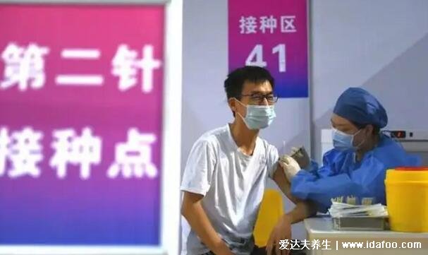 安徽智飛三針打完需要打加強針嗎，暫時不需要(有效期可達兩年)