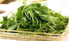 薺菜會導致拉肚子嗎(喝薺菜煮水為什么會