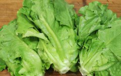 多大寶寶可以吃生菜(多大嬰兒可以吃生菜