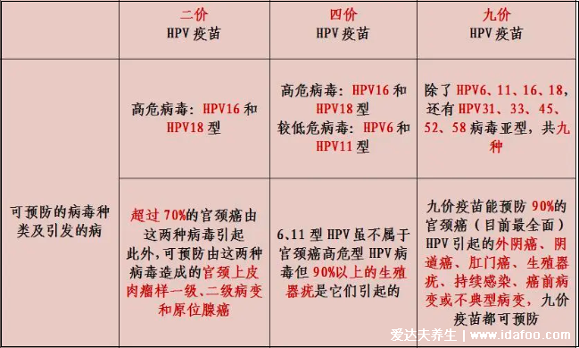 感染HPV病毒 就會惡變成宮頸癌嗎？造成宮頸癌的真正真相究竟是什么？