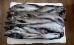 明太魚是一種冷水性深水魚主要分布在日(手撕明太魚)