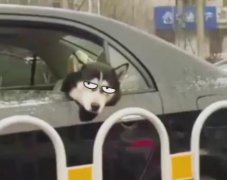 什么是有氧運動和無氧運動哪個減肥(三天減肥10斤)