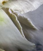 女人私處有哪些非常私密的情況呢(女人私處有哪些非常私密的情況視頻