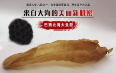 巴西魚膠的功效與作用是什么