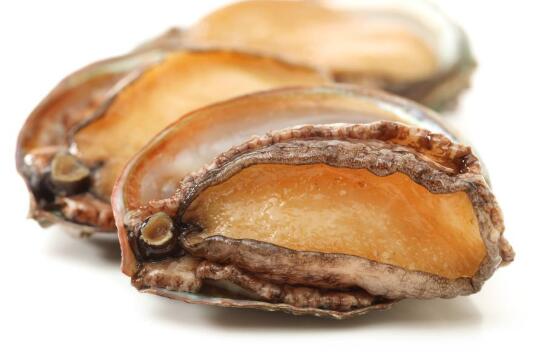 鮑魚蒸幾分鐘最嫩_鮑魚蒸好后咬不動