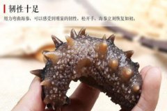 小孩子吃海參流鼻血嗎_小孩子吃海參容易性早熟嗎