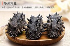 野生海參與養殖海參的五大區別_野生海參好在哪