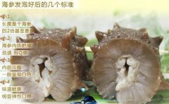 堅持吃海參一年會怎么樣_堅持吃海參的五大功效海參吃法