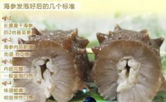 購買海參需要注意什么，挑選海參的技巧