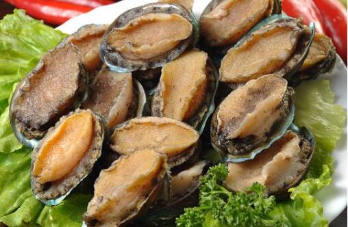 鮑魚殼上寄生蟲沒事吧，鮑魚上有蟲子正常嗎