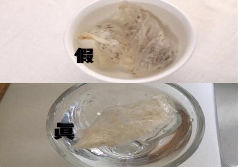 假燕窩泡發后樣子(圖)，燕條為什么不能買