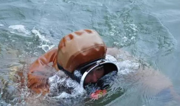海參