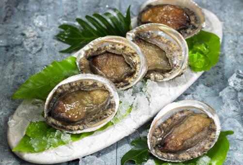 鮑魚養殖周期多長時間，養鮑魚一年能賺多少錢
