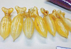 吃半年花膠我的變化孕婦媽媽的親訴（真實故事）