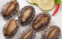 9頭鮑魚價格一只多少錢，九頭鮑魚是什么意思