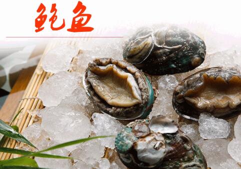 9頭鮑魚價格一只多少錢，九頭鮑魚是什么意思
