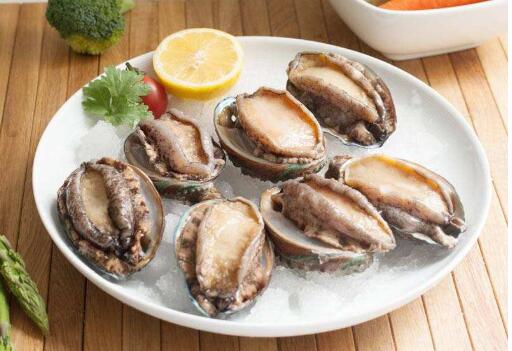 中國鮑魚的品種，中國鮑魚產地排名