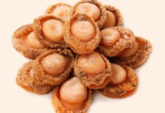 鮑魚第二頓加熱能不能吃，鮑魚煮熟保存幾天