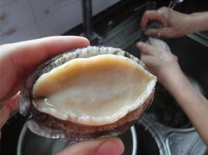 鮑魚的八種家常做法，鮑魚去內臟步驟圖片